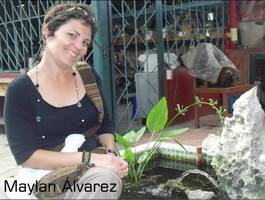 espacio-de-critica-y-reflexion-el-que-no-calla