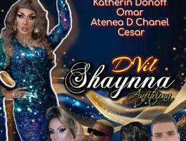 noche-de-la-diversidad