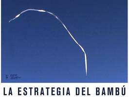 la-estrategia-del-bambu