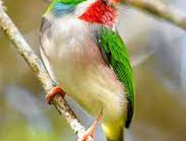 excursion-con-el-club-de-observadores-de-aves