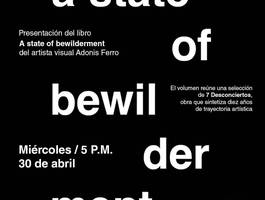 presentacion-del-libro-a-state-of-bewilderment