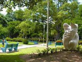 rescatando-su-luz-accion-de-conservacion-preventiva