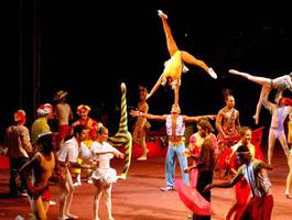 carpa-azul-en-santa-fe