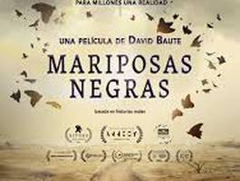 mariposas-negras