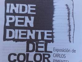 inaugucion-de-la-muestra-independientes-de-color-de-carlos-pimentel