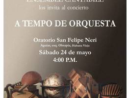 ensemble-cantabile-en-concierto