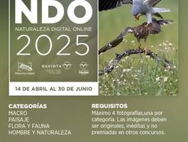 concurso-online-de-fotografia-naturaleza-digital-2025