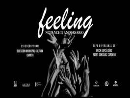 exposicion-feelings