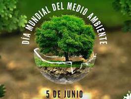 proyeccion-del-filme-powerlands