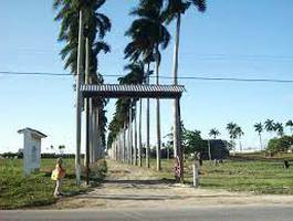 campina-pioneril