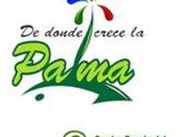 exposicion-colectiva-del-salon-provincial-de-la-plastica-infantil-de-donde-crece-la-palma-granma
