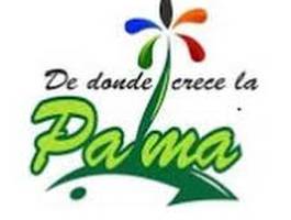 concurso-provincial-donde-crece-la-palma