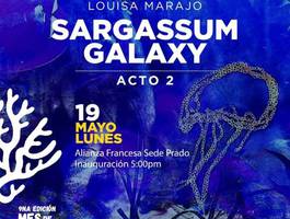 exposicion-sargassum-galaxy