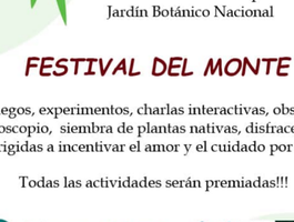 festival-del-monte-2025