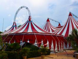 un-ratico-feliz-en-el-circo