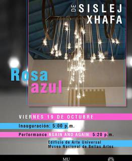 Exposición en Bellas Artes exposicion-en-bellas-artes