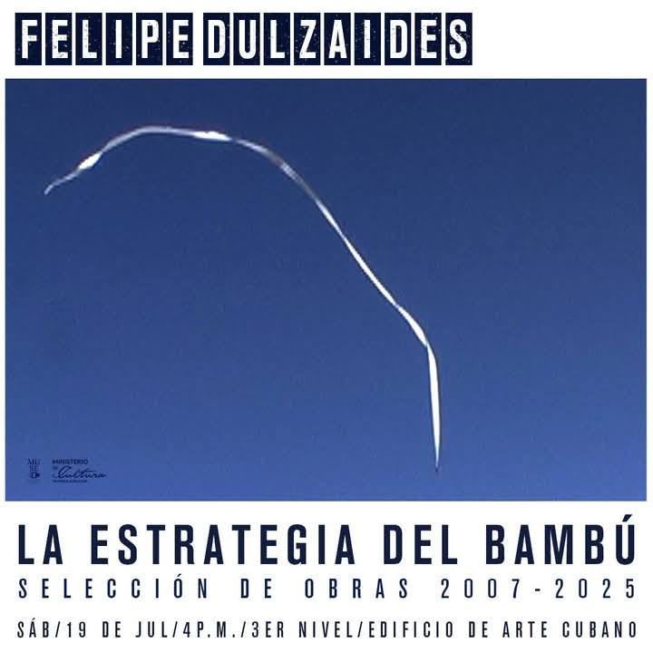la-estrategia-del-bambu