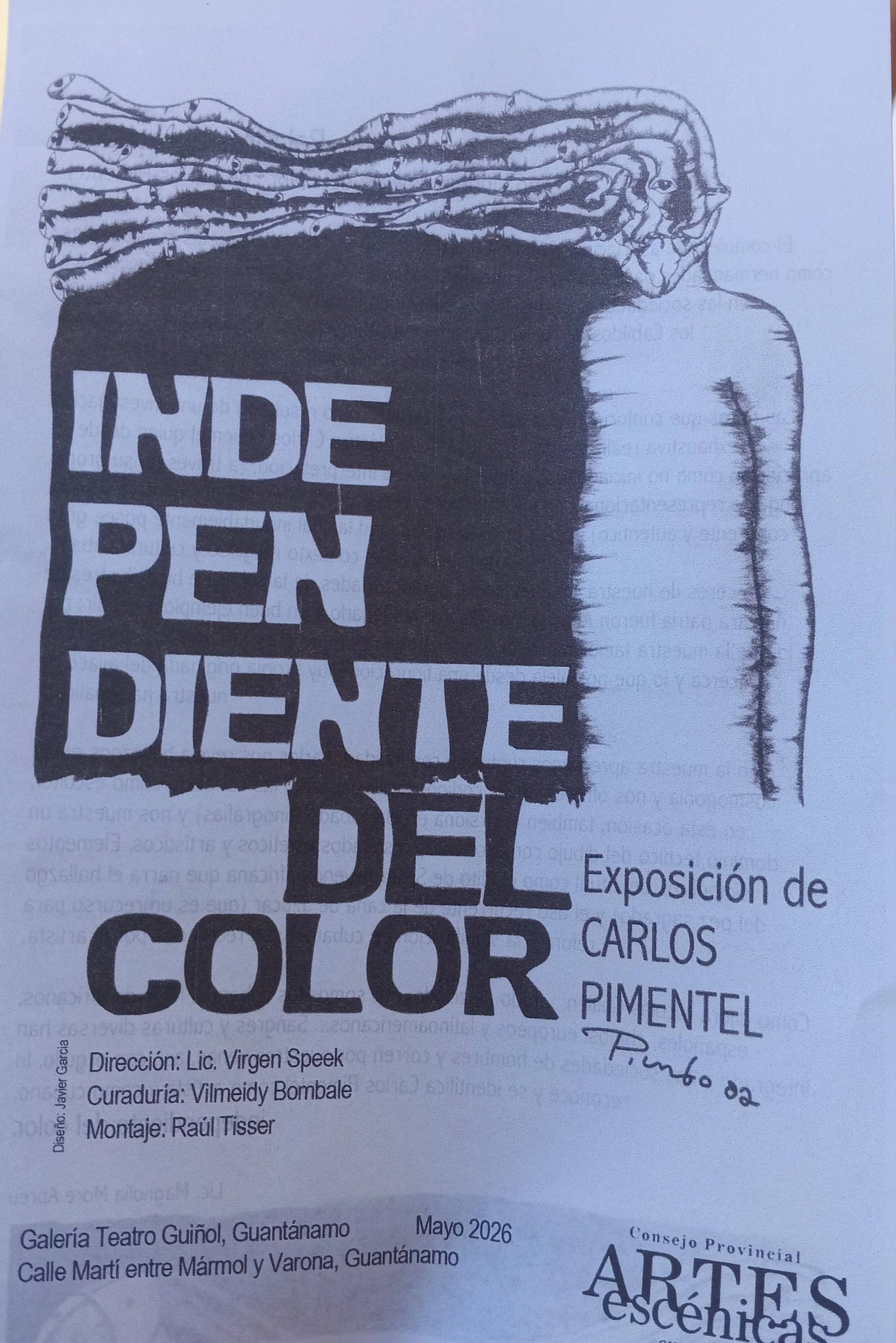 inaugucion-de-la-muestra-independientes-de-color-de-carlos-pimentel