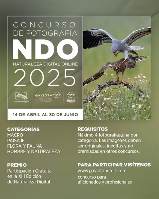 concurso-online-de-fotografia-naturaleza-digital-2025