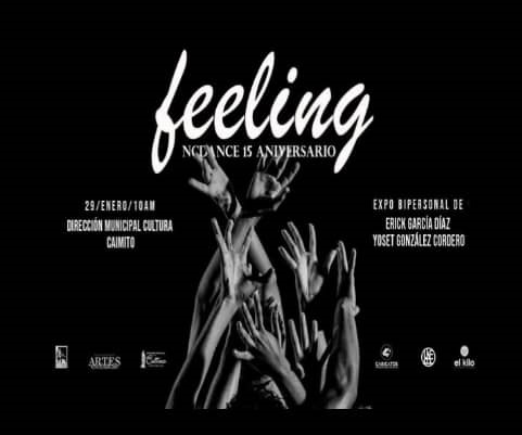 exposicion-feelings