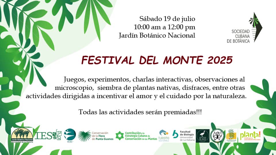 festival-del-monte-2025
