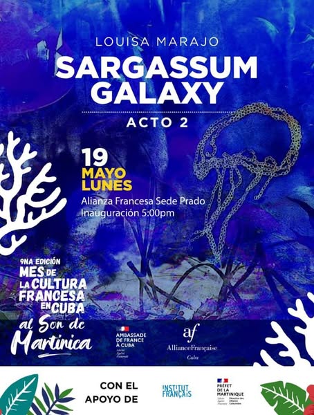 exposicion-sargassum-galaxy